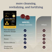 Himalayan Shilajit  Gummies For Energy Boost