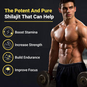 Himalayan Shilajit  Gummies For Energy Boost